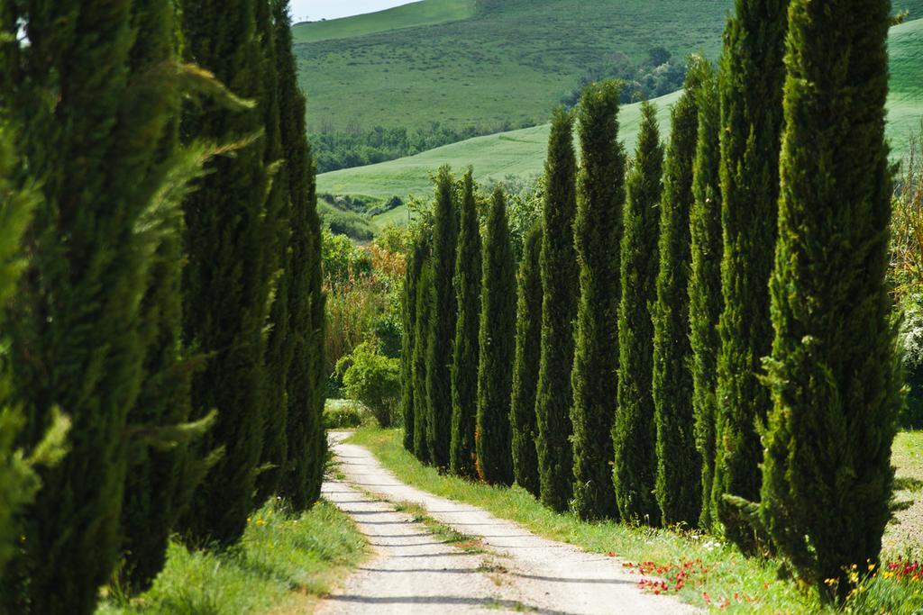 Agriturismo Podere Campaini Вольтерра Экстерьер фото
